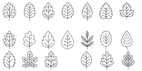 set of black vector simple leaf line icons outlines silhouettes