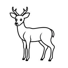 Fototapeta premium Standing deer illustration simple outline black and white line art graphic design