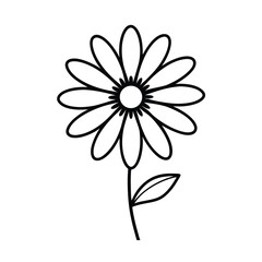 Simple daisy flower vector illustration with stem and leaf outline style