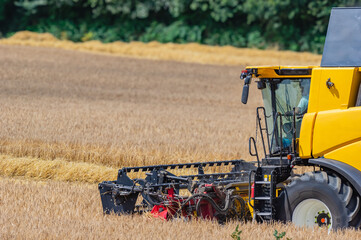 Une moissonneuse batteuse r&eacute;colte du bl&eacute; 