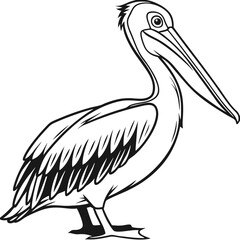 Great White Pelican bird silhouette vector illustration