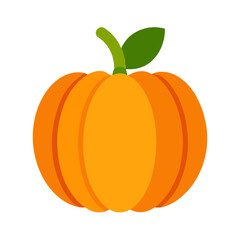 Ripe Orange Pumpkin Icon Vector