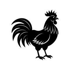 Rooster crowing in the morning silhouette illustration