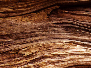 A close up of a piece of wood with a grainy texture. The wood appears to be old and weathered, with...