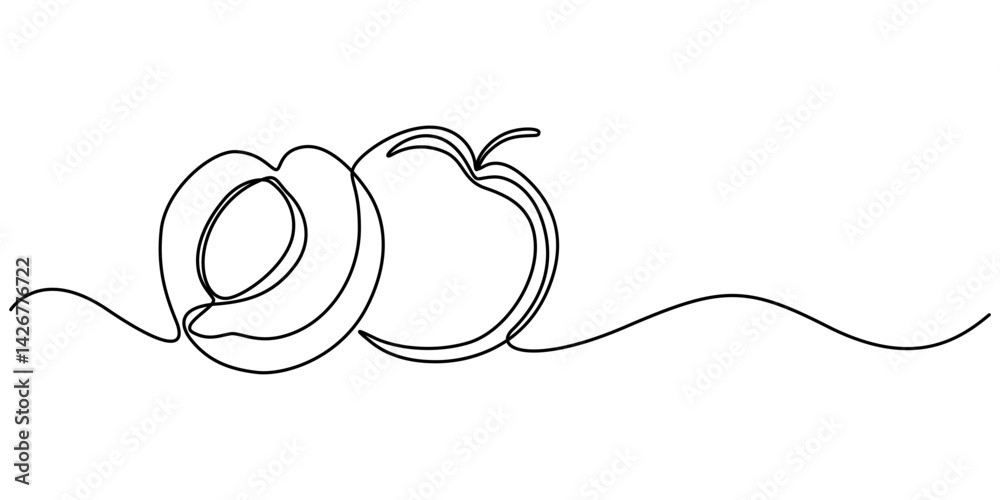 Poster apricot halves continuous one line drawing, drawn by a solid dark line an apricot and a half of an a