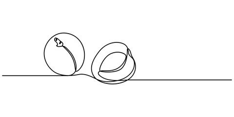 apricot halves continuous one line drawing, drawn by a solid dark line an apricot and a half of an apricot on a background of abstract orange and brown spots on a white background, Apricot pro vector.