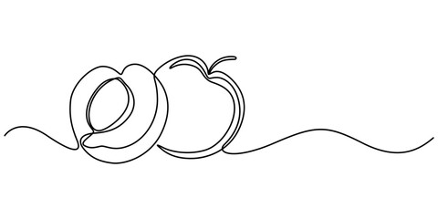 apricot halves continuous one line drawing, drawn by a solid dark line an apricot and a half of an apricot on a background of abstract orange and brown spots on a white background, Apricot pro vector.