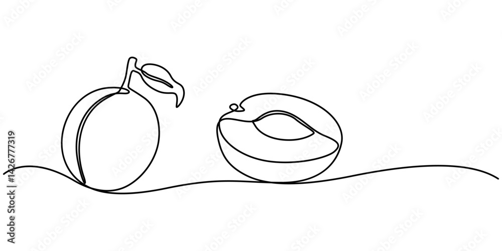 Poster apricot halves continuous one line drawing, drawn by a solid dark line an apricot and a half of an a