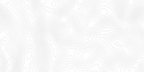 White topography topology vector white background fresh contour map texture. white seamless pattern Abstract background with a wave Topography and geography map grid abstract backdrop.