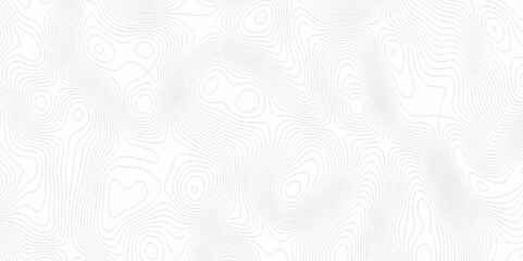 White topography topology vector white background fresh contour map texture. white seamless pattern Abstract background with a wave Topography and geography map grid abstract backdrop.