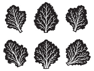 Kale leaf minimal line art drawing for organic aesthetics