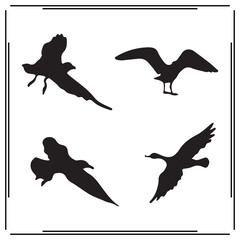 Albatross silhouette, Albatross illustration , Albatross clipart, Albatross vector , black Albatross, Albatross illustration on white background,