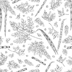 Obraz premium Moringa oleifera sketch vector seamless pattern, hand drawn engraved twig with leaves, bean pods and seeds, superfood