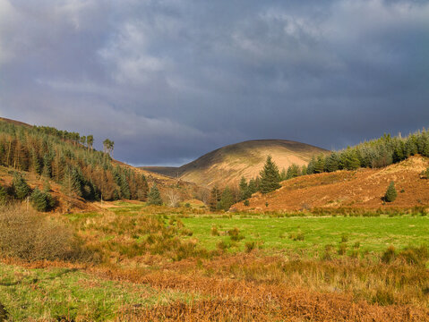 Scenic view of the Dunsop Valley in the Forest of Bowland, UK, showing lush greenery and autumnal trees under a partly cloudy sky.