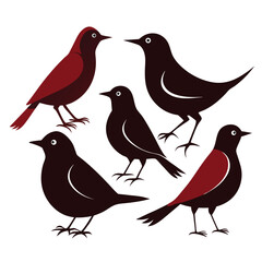 striking bird birds set isolated shilhotee vector on white background