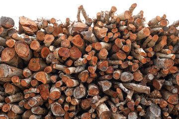 Background of heap firewood stack from Mangrove forest, natural wood, dry chopped firewood logs on white background.
