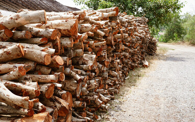Heap of firewood stack from Mangrove forest in Thailand, natural wood, Background of dry chopped firewood logs.