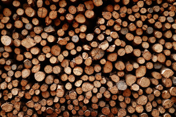 Background of heap firewood stack from Mangrove forest, natural wood, Background of dry chopped firewood logs.