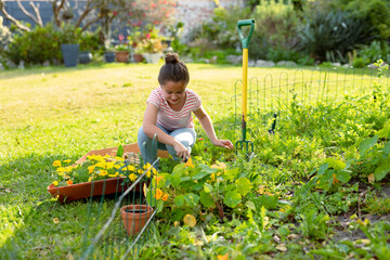 Little girl tending green plants and yellow flowers in backyard garden, using gardening fork