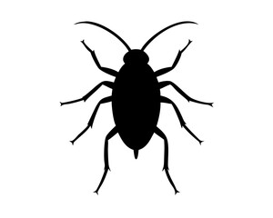 Obraz premium black beetle isolated on white