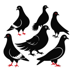Pigeon birds set isolated shilhotee vector on white background
