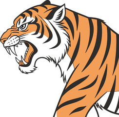 tiger vector illustration