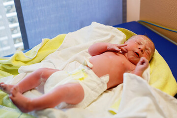 Newborn child crying seconds and minutes after birth. Cute tiny new born baby girl on towel. New...