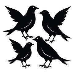 Fototapeta premium Skylark birds set isolated shilhotee vector on white background