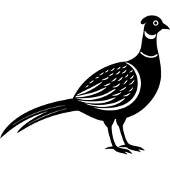 Animal Pheasant silhouette vector illustrator 