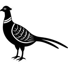 Animal Pheasant silhouette vector illustrator 