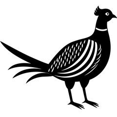Obraz premium Animal Pheasant silhouette vector illustrator 