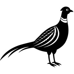 Animal Pheasant silhouette vector illustrator 