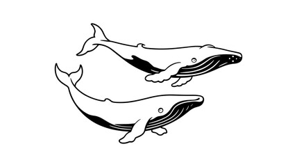 Fototapeta premium Majestic Whale Duo: Two magnificent whales, rendered in monochrome lines, gracefully swim. The image showcases their elegant forms and invites admiration for their aquatic domain. 
