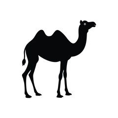 camel silhouette
