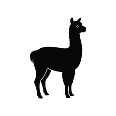 Fototapeta premium alpaca silhouette