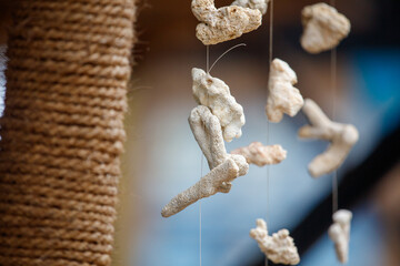 A string of shells hanging from a rope