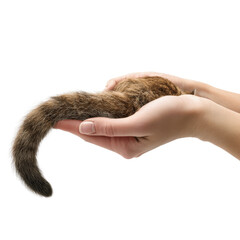 Gentle Hands Holding a Small Animal's Tail