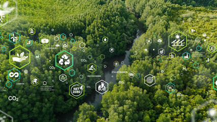 Green forest, bird's eye view of green trees in the forest. Carbon neutrality and net zero emissions concept. Sustainable green global environment.