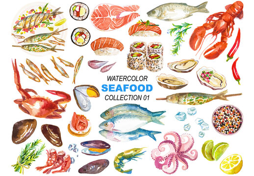 Vector watercolor painted seafood clipart. Hand drawn design elements isolated on white background.