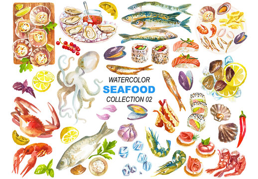 Vector watercolor painted seafood clipart. Hand drawn design elements isolated on white background.
