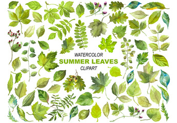 Abstract watercolor collection of summer leaves. Hand drawn nature design elements isolated on white background.
