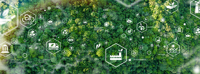 Green forest, bird's eye view of green trees in the forest. Carbon neutrality and net zero emissions concept. Sustainable green global environment. © Dee karen