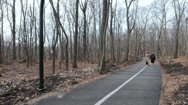 A couple leisurely strolls side by side along a winding path in a serene winter forest, surrounded by tall, bare trees, truly capturing the beautiful essence of nature in its pristine form