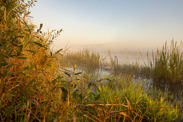 Morning fog on the lake at dawn. Colourful glow in the sky, with surrounding forest trees reflected...