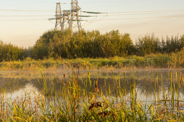 Morning fog on the lake at dawn. Colourful glow in the sky, with surrounding forest trees reflected...