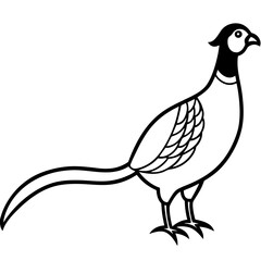 Animal Pheasant line art vector 