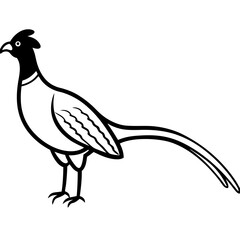 Animal Pheasant line art vector 