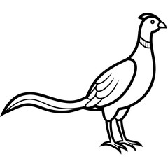 Animal Pheasant line art vector 