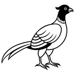 Animal Pheasant line art vector 