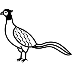 Animal Pheasant line art vector 